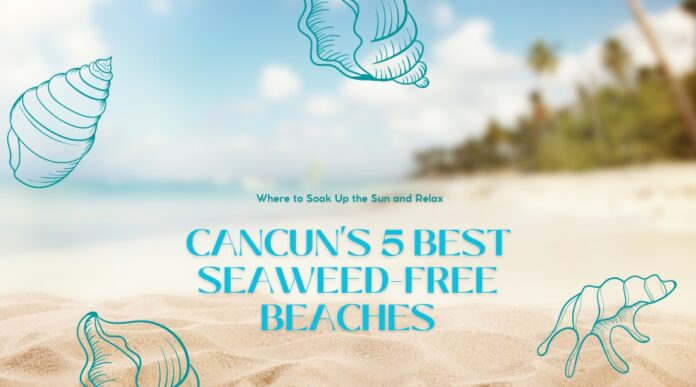 Top Cancun's beaches
